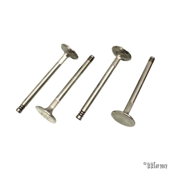 INTAKE VALVES 170CC T4 69-73