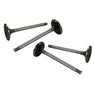 INTAKE VALVES T4 1.8L 73-74