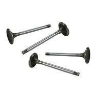 INTAKE VALVES 37.5mm, 8mm GUIDE, T4 1.7cc 1968 (4)