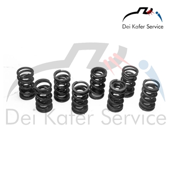 DUAL VALVE SPRINGS