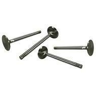 STAINLESS STEEL VALVES 35,5MM (4)