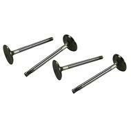 STAINLESS STEEL VALVES 40MM (4)