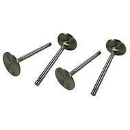 STAINLESS STEEL VALVES 44MM (4)