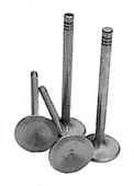 EXHAUST VALVES 25-30 HP - INTAKE VAL