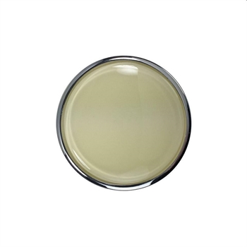 HORN BUTTON FOR BANJO STEERING WHEEL, IVORY