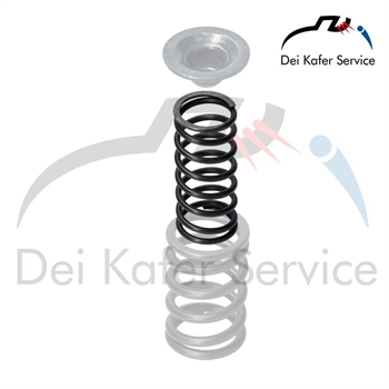 VALVE SPRING 25-36HP / OKRASA (1 PIE