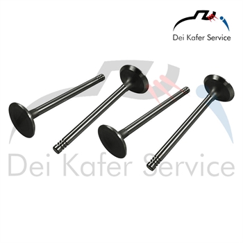 INTAKE VALVES 13/1600 D/P