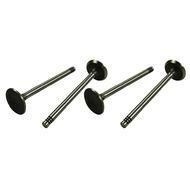 INTAKE VALVES 1300 S/P