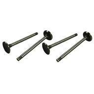 INTAKE VALVES 1200 CC - SINGLE PORT